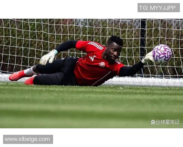 曼联伤情最新更新 球员复出时间仍未确定 影响赛季前景