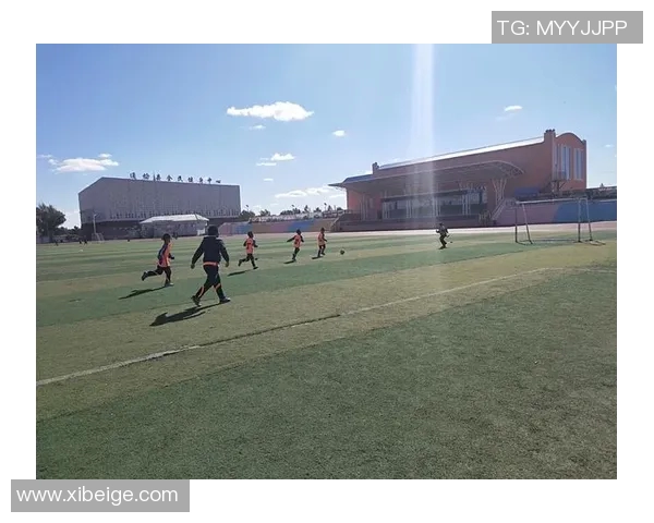 《绿茵传奇：揭开足球比赛背后真实的汗水与激情》