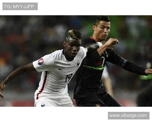 火箭冲击金球奖？数据全面对比分析